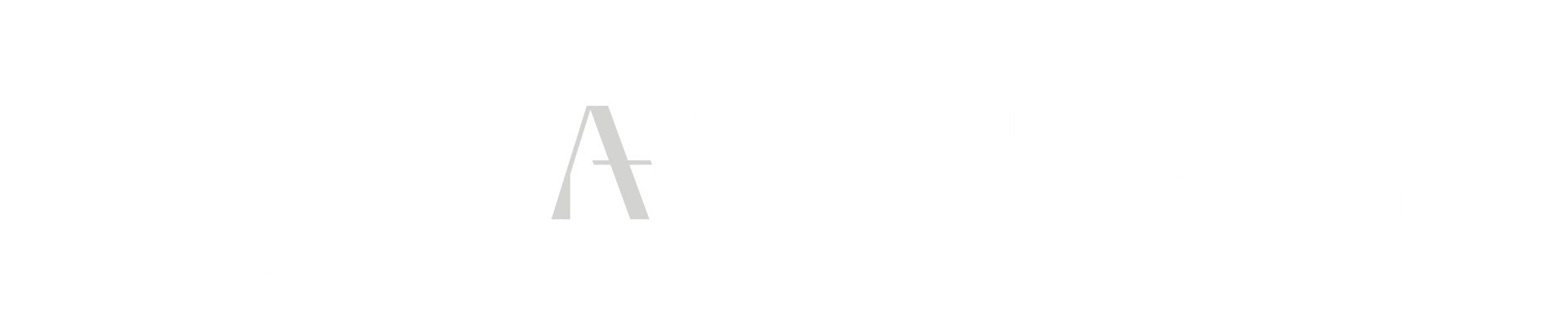 A Healthier Wisconsin