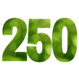 Graphic of Number 250