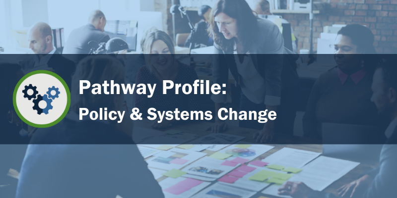 AHW Policy and Systems Change Pathway Image
