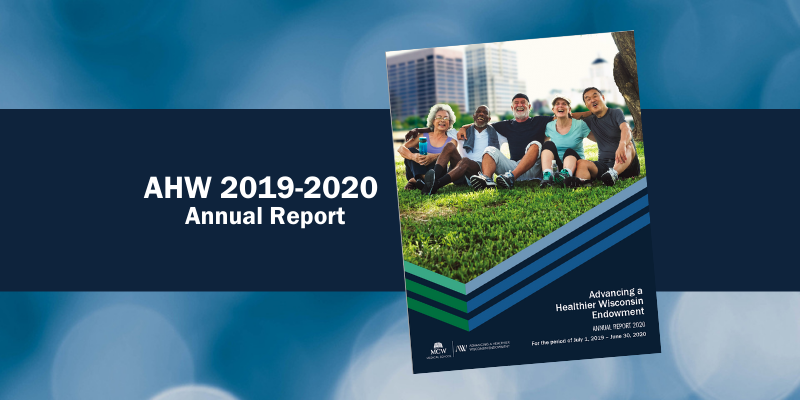 Image of 2020 Annual Report Cover